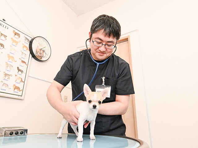 小川 晋吾 院長