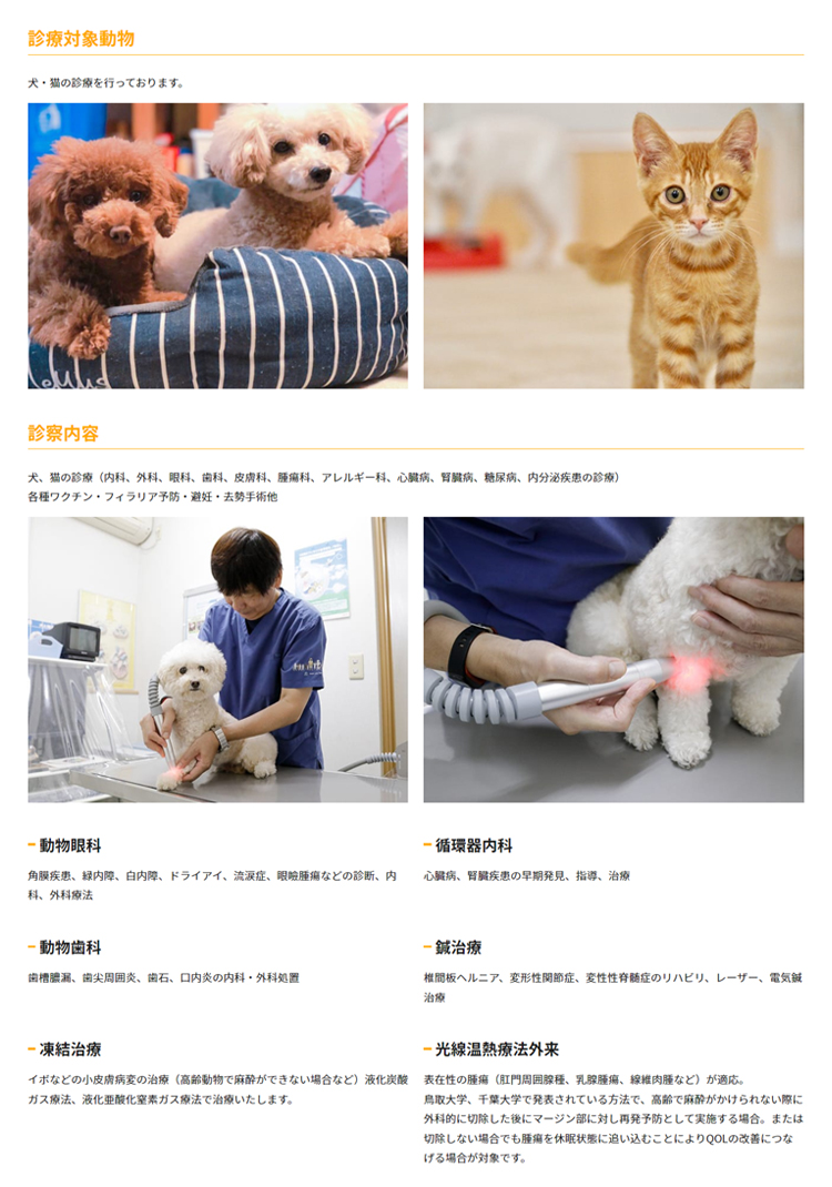 森田動物医療センターのお知らせ内容