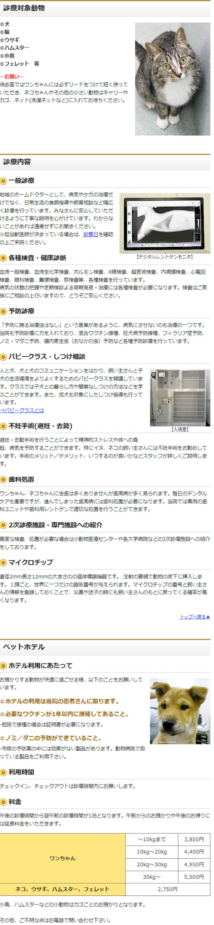 ベル動物病院のお知らせ内容