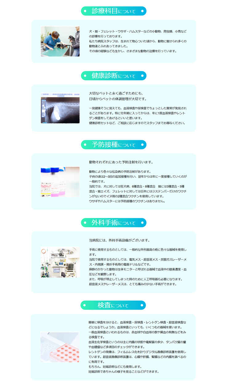かわい動物病院のお知らせ内容